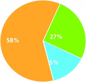 Personal Finance Module Pie Chart