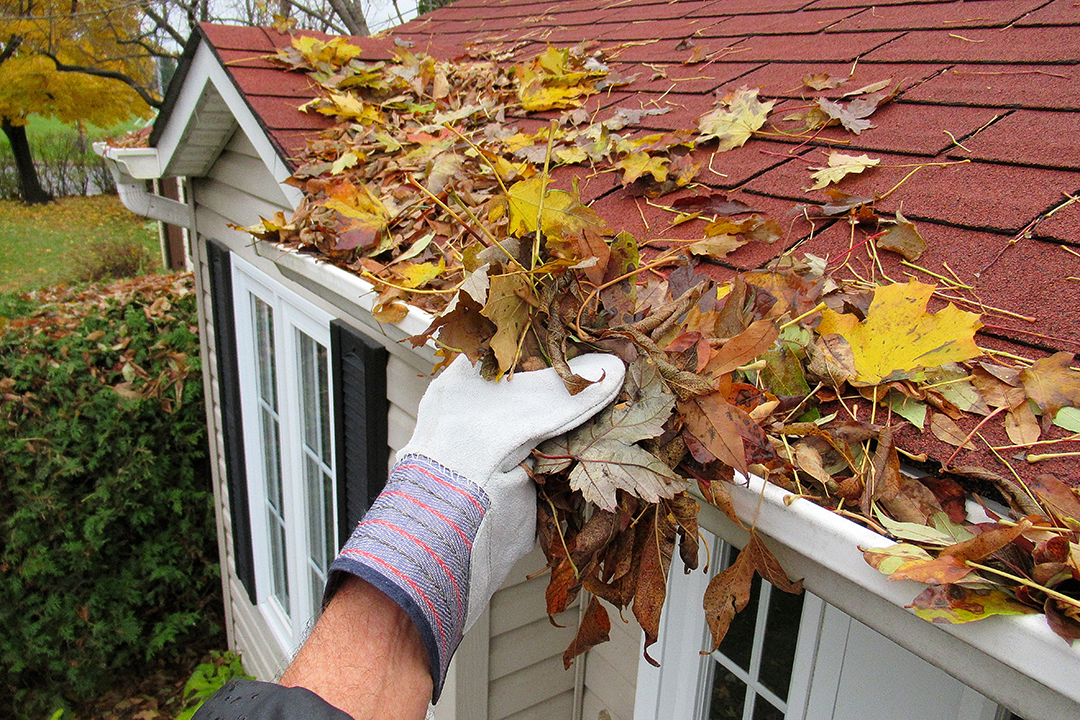 Close up of something removing leaves from a roof.